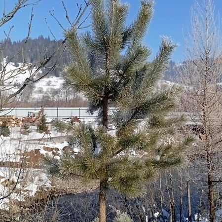Затишний Будиночок Bukovets Екстериор снимка
