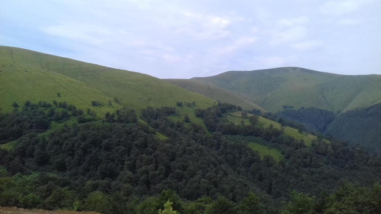 Затишний Будиночок Bukovets Екстериор снимка