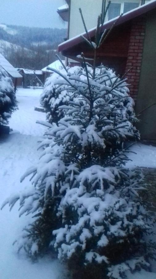 Затишний Будиночок Bukovets Екстериор снимка