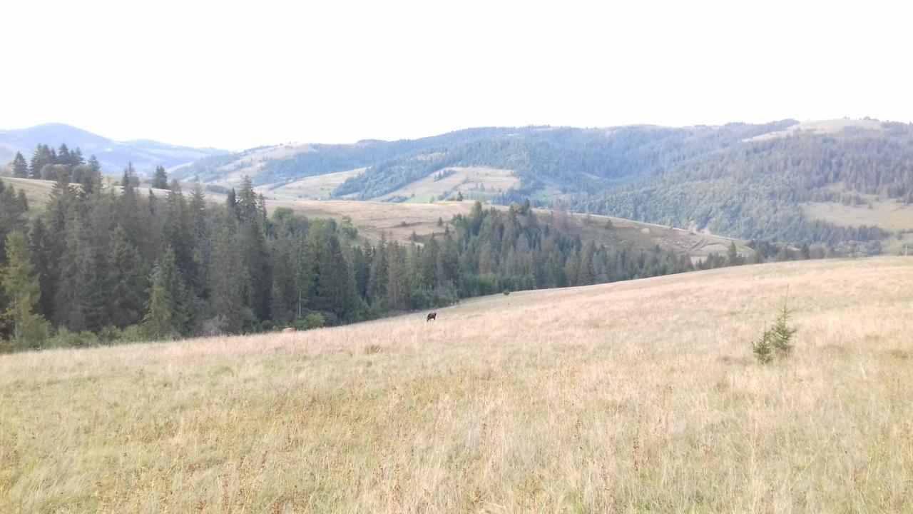 Затишний Будиночок Bukovets Екстериор снимка